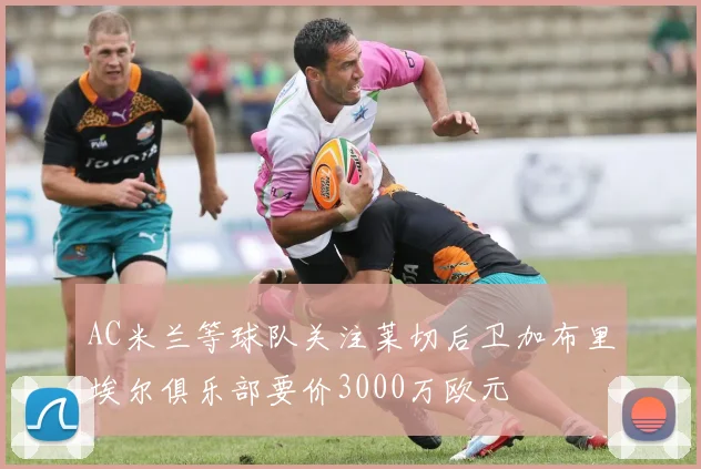 AC米兰等球队关注莱切后卫加布里埃尔俱乐部要价3000万欧元